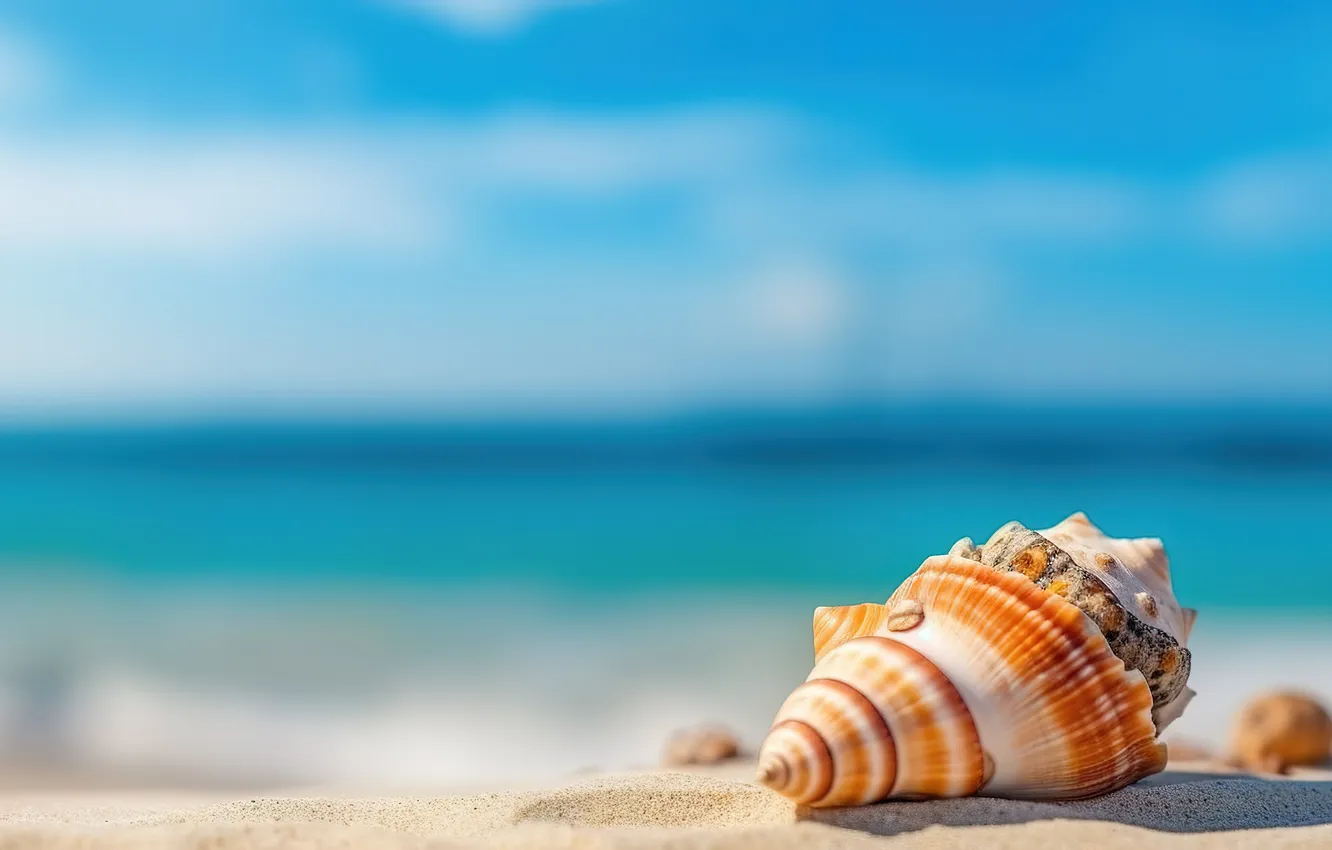 Photo wallpaper sand, sea, wave, beach, summer, shore, sink, shell