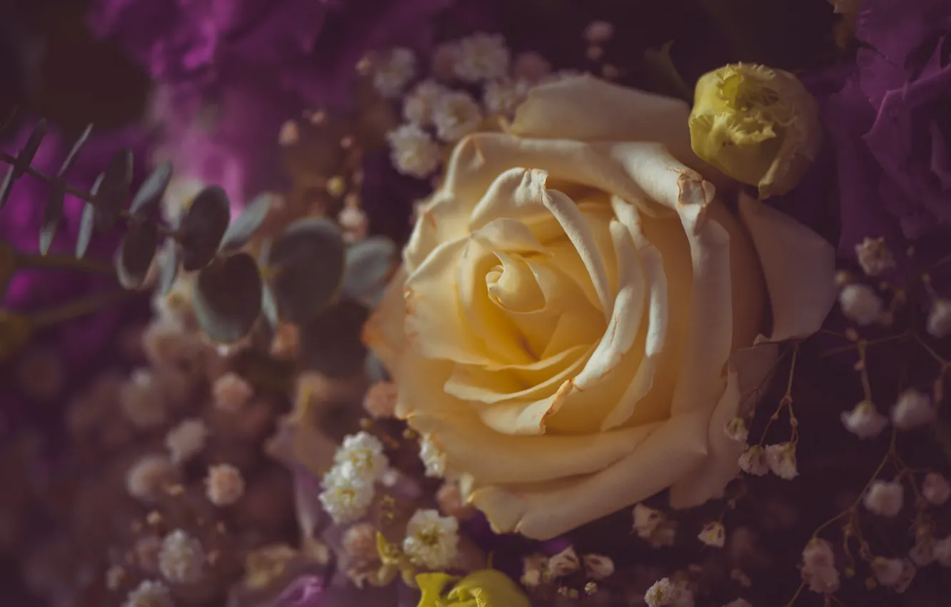 Photo wallpaper flowers, yellow, roses, bouquet, white, gypsophila