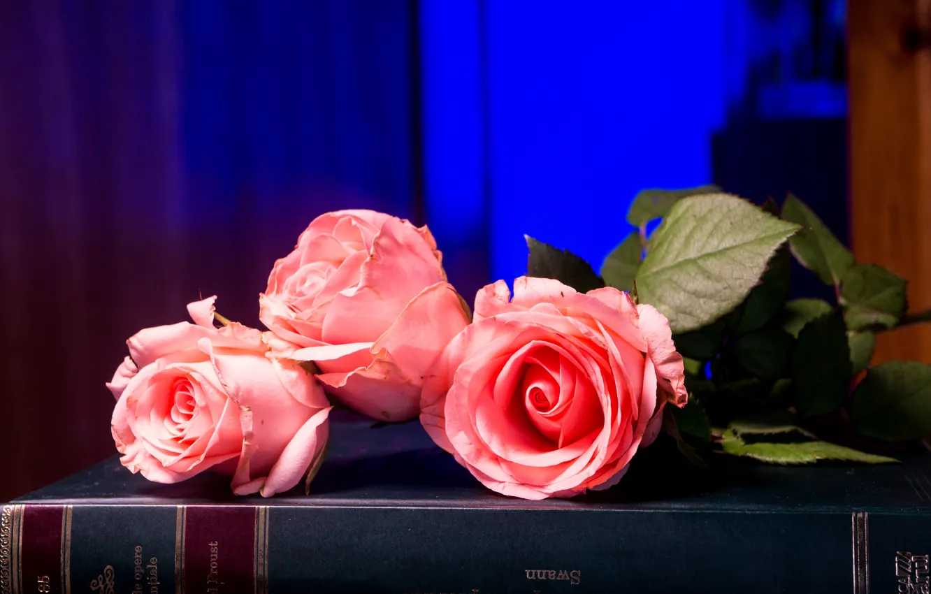 Photo wallpaper flowers, blue, background, roses, bouquet, book, pink, buds