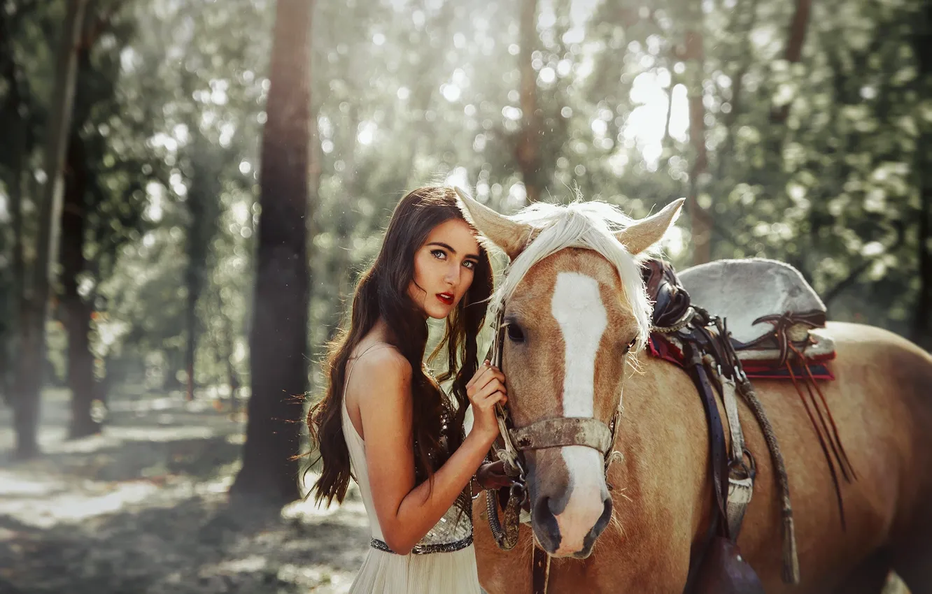 Photo wallpaper forest, horse, horse, Tuti Chirstopher