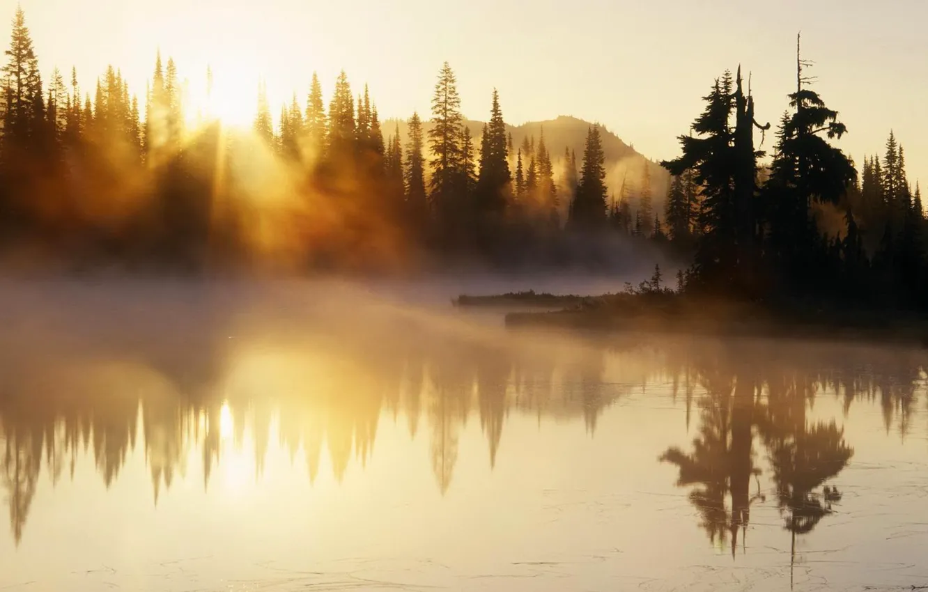 Photo wallpaper trees, mountains, nature, fog, river, morning