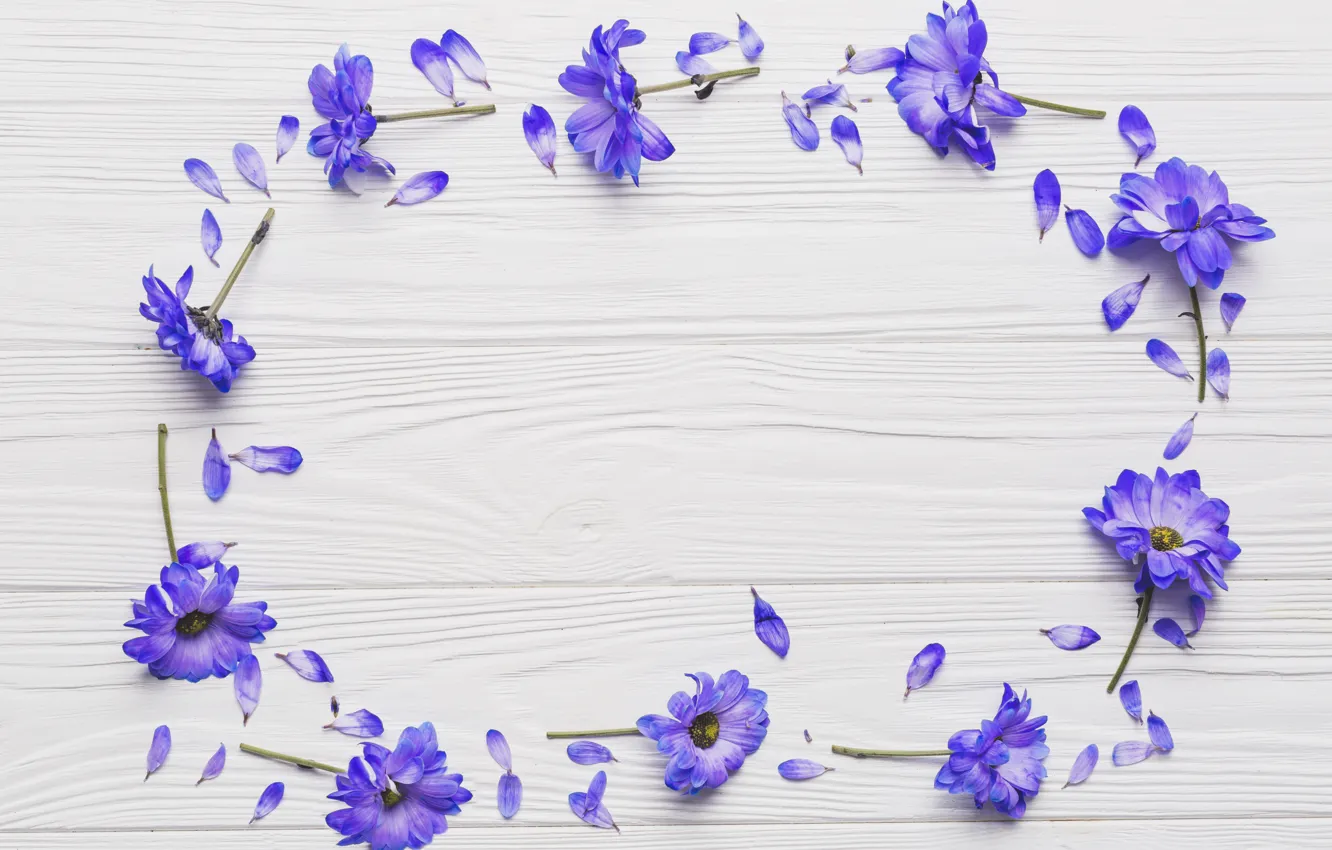Photo wallpaper petals, wood, flowers, violet