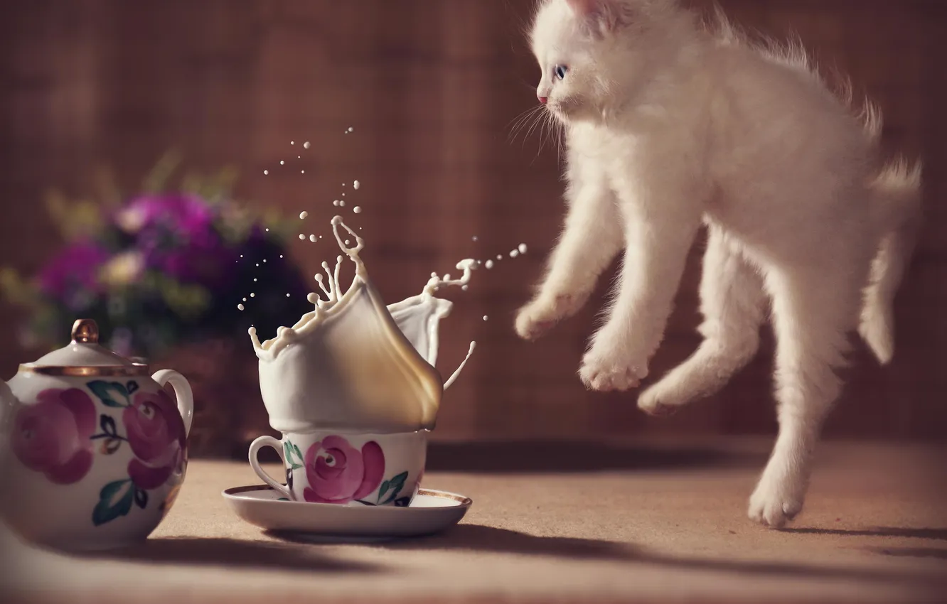 Photo wallpaper flowers, fright, milk, mug, kitty, cat, kitty, cute