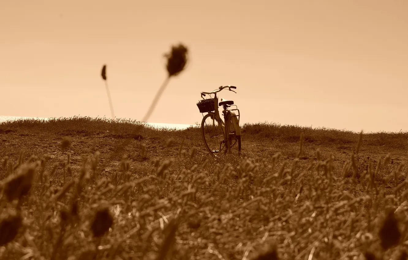 Photo wallpaper field, bike, background
