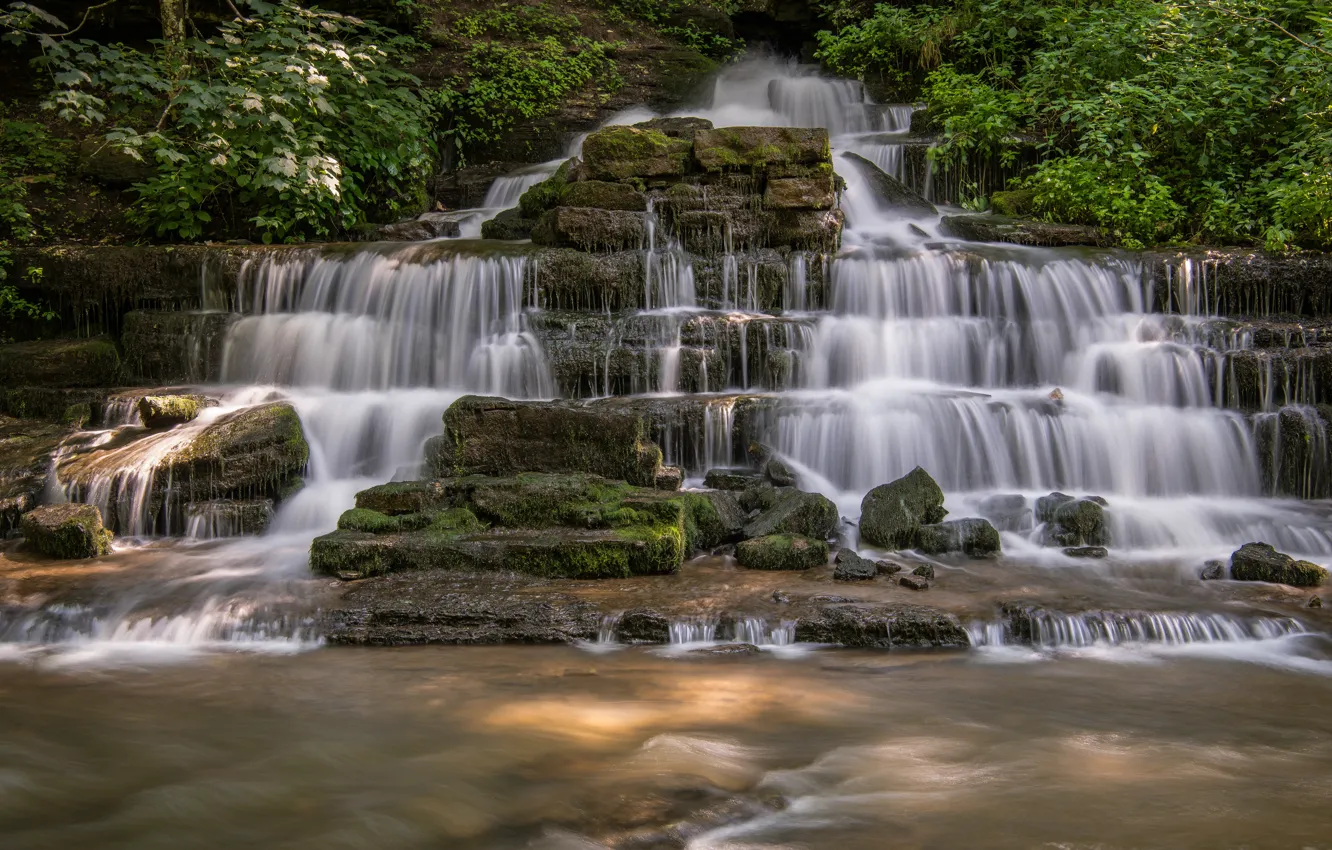 Photo wallpaper river, waterfall, cascade, Kentucky, Kentucky, Fulling Mill Falls, Shaker Creek