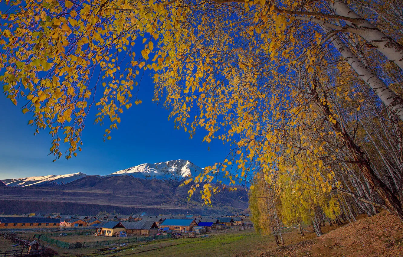 Photo wallpaper autumn, the sky, leaves, trees, mountains, home, village