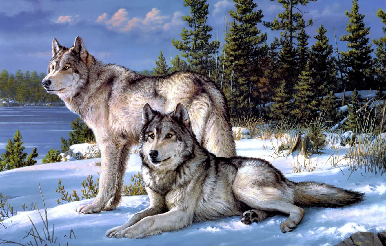 Photo wallpaper winter, forest, wolf, Joseph Hautman