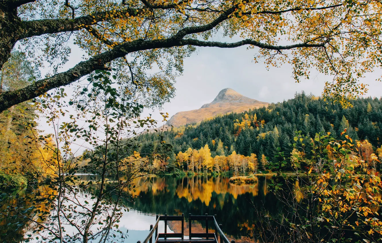 Photo wallpaper autumn, forest, trees, mountains, branches, lake, pierce, the bridge