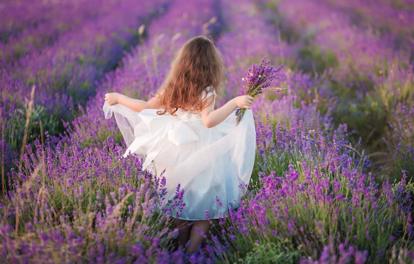 Photo wallpaper field, summer, nature, bouquet, girl, lavender