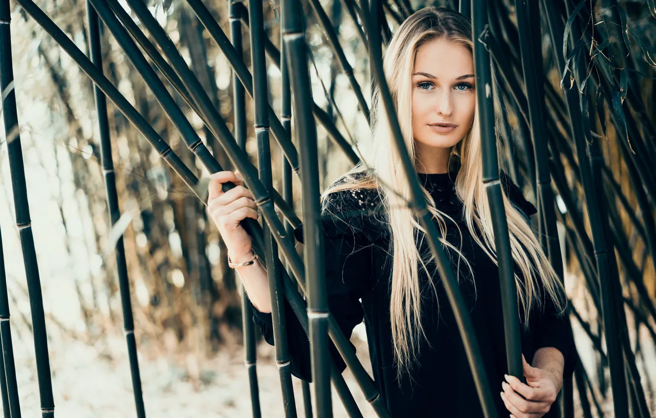 Photo wallpaper girl, bamboo, Rika Berhorst