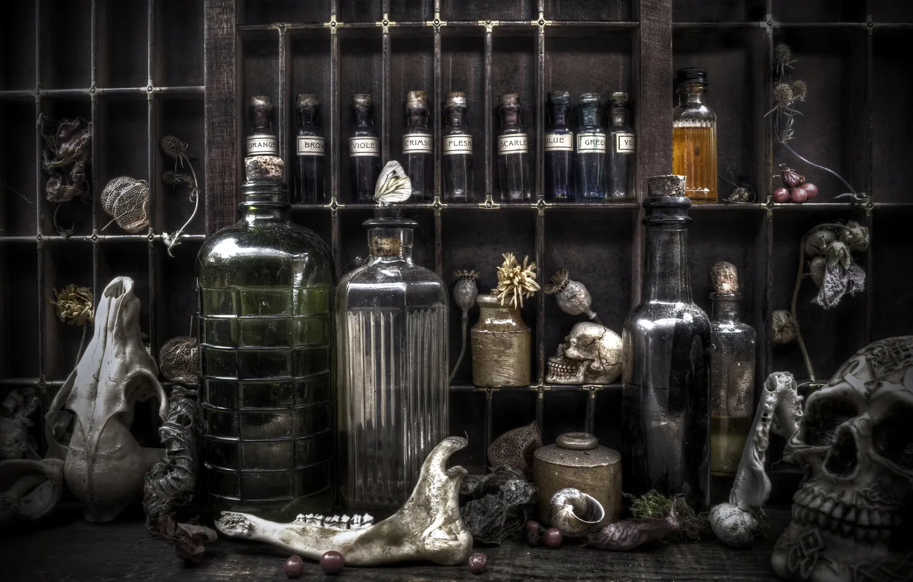 Photo wallpaper skulls, flowers, bottles, berries, Snails, potions, vials, poisons