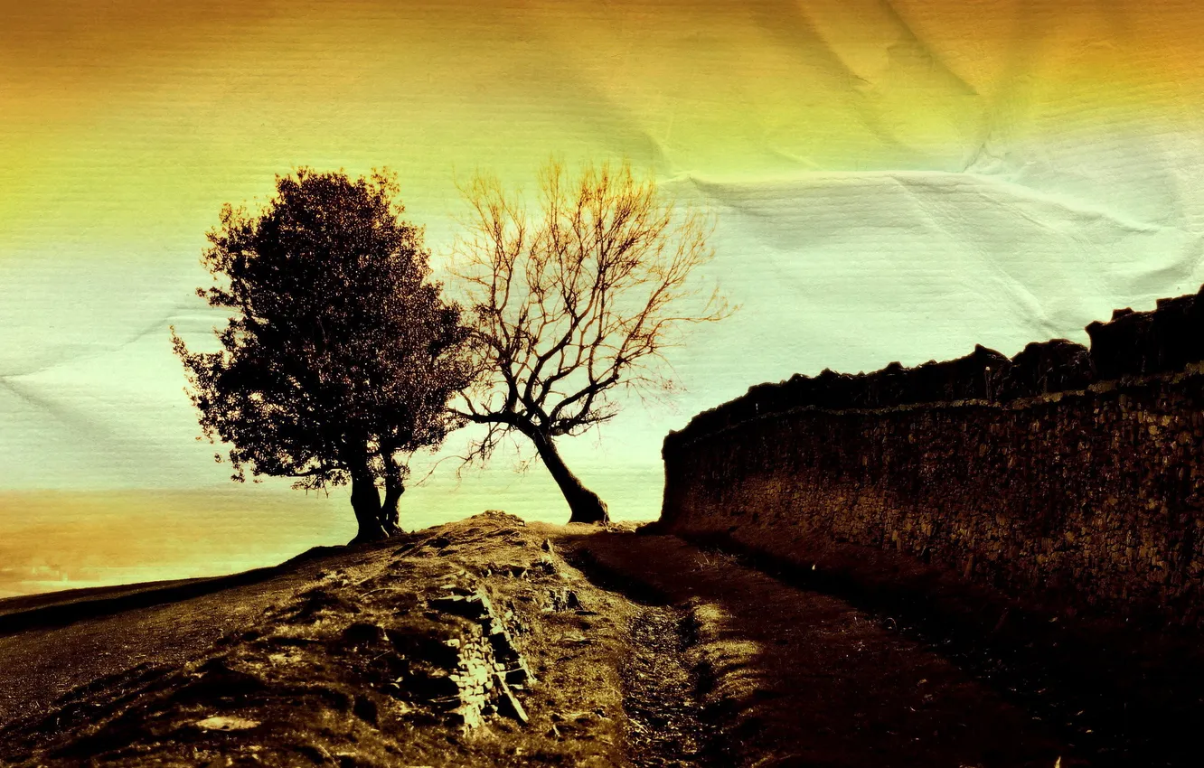 Photo wallpaper landscape, nature, style