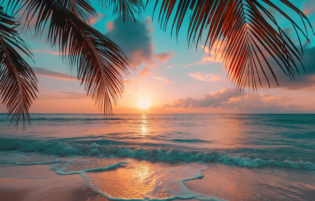 Photo wallpaper beach, ocean, sunset, palm