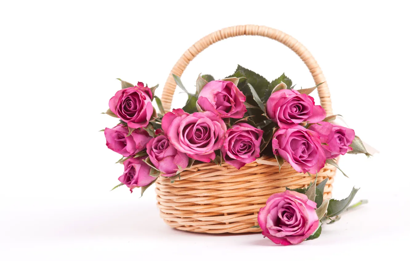 Photo wallpaper white, background, roses, pink, basket