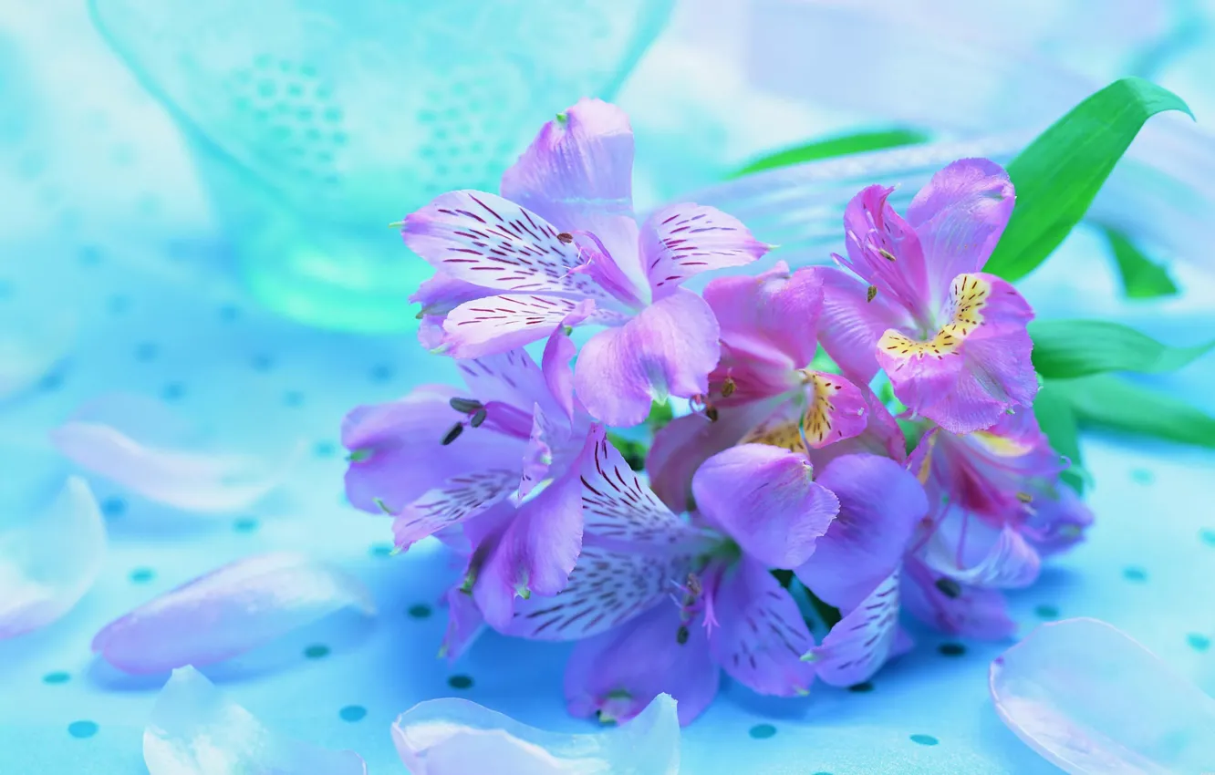 Photo wallpaper flowers, beauty, bouquet, petals