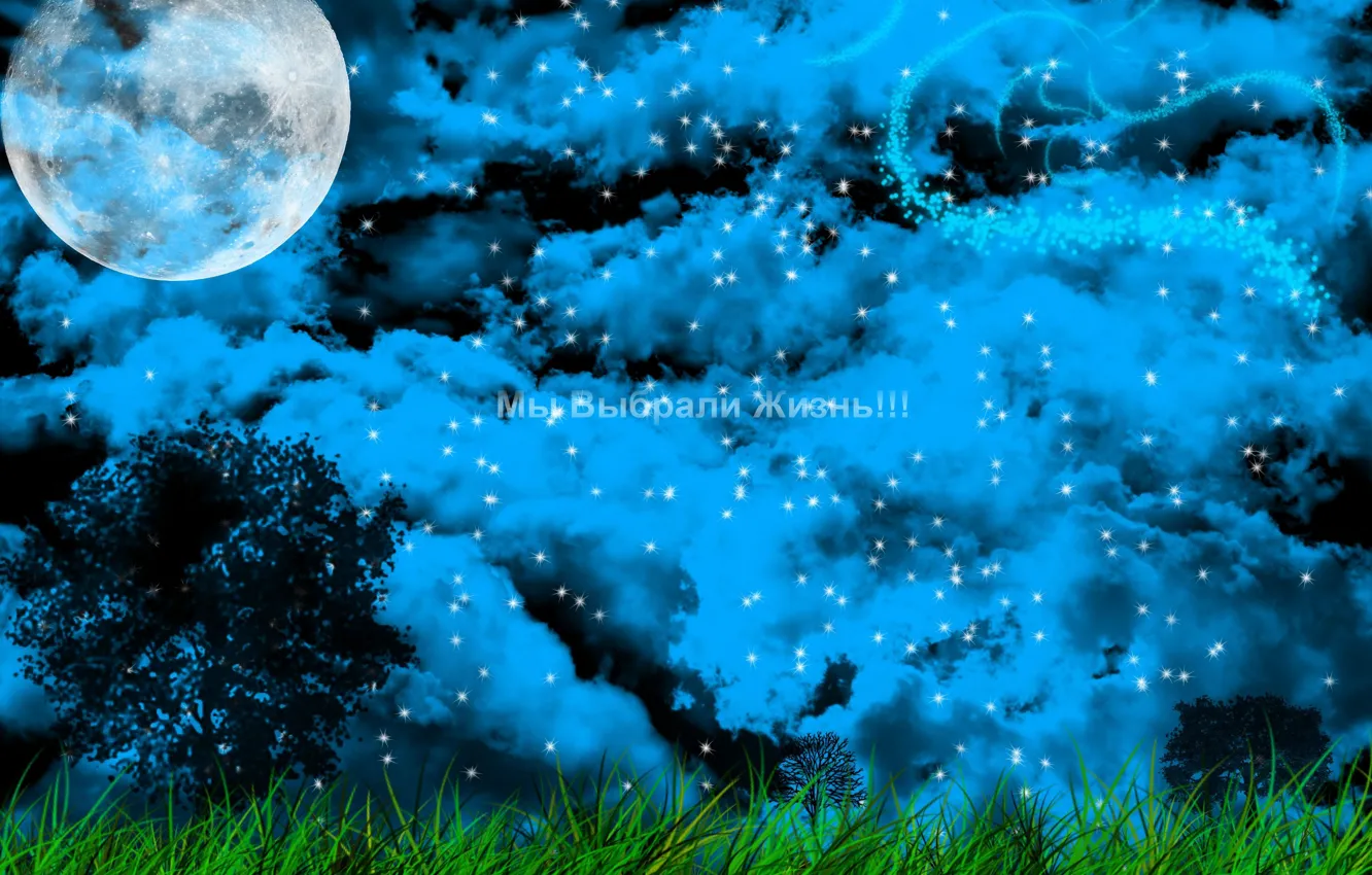 Photo wallpaper grass, trees, night, the moon