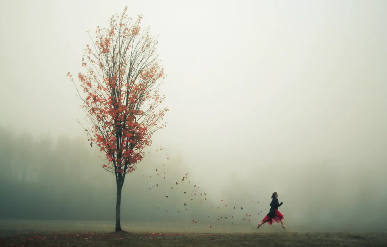 Photo wallpaper autumn, leaves, girl, fog, tree