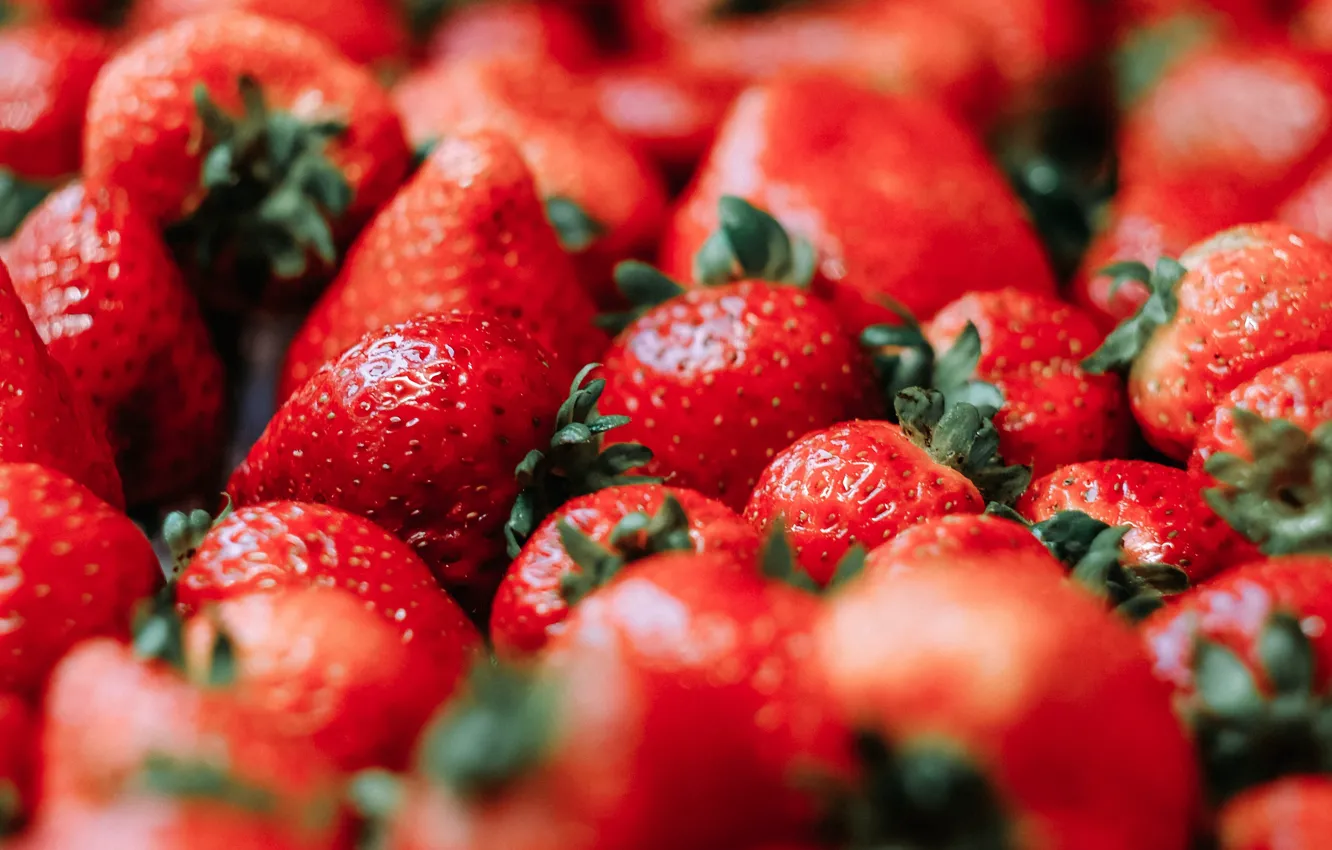 Photo wallpaper berries, background, strawberry, strawberry, berries