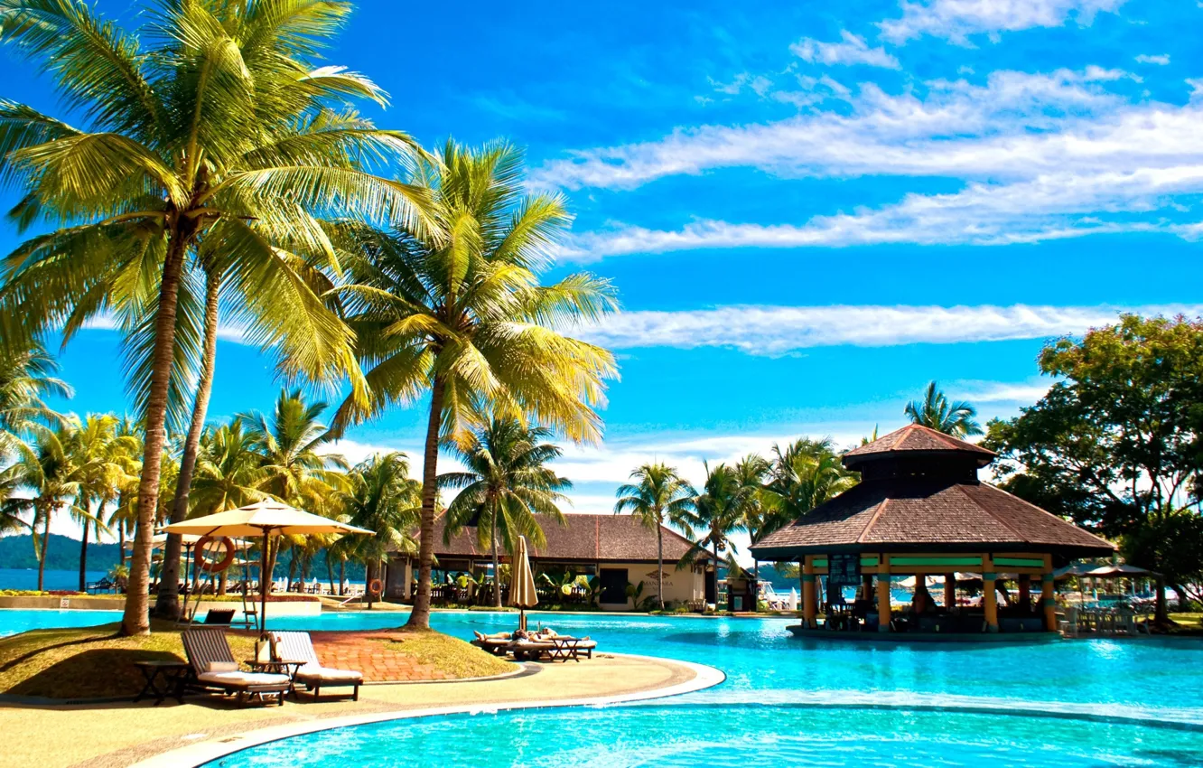 Photo wallpaper nature, palm trees, the ocean, pool, resort, exotic, the area