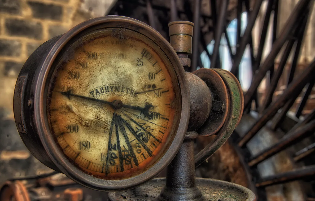 Photo wallpaper macro, background, devices