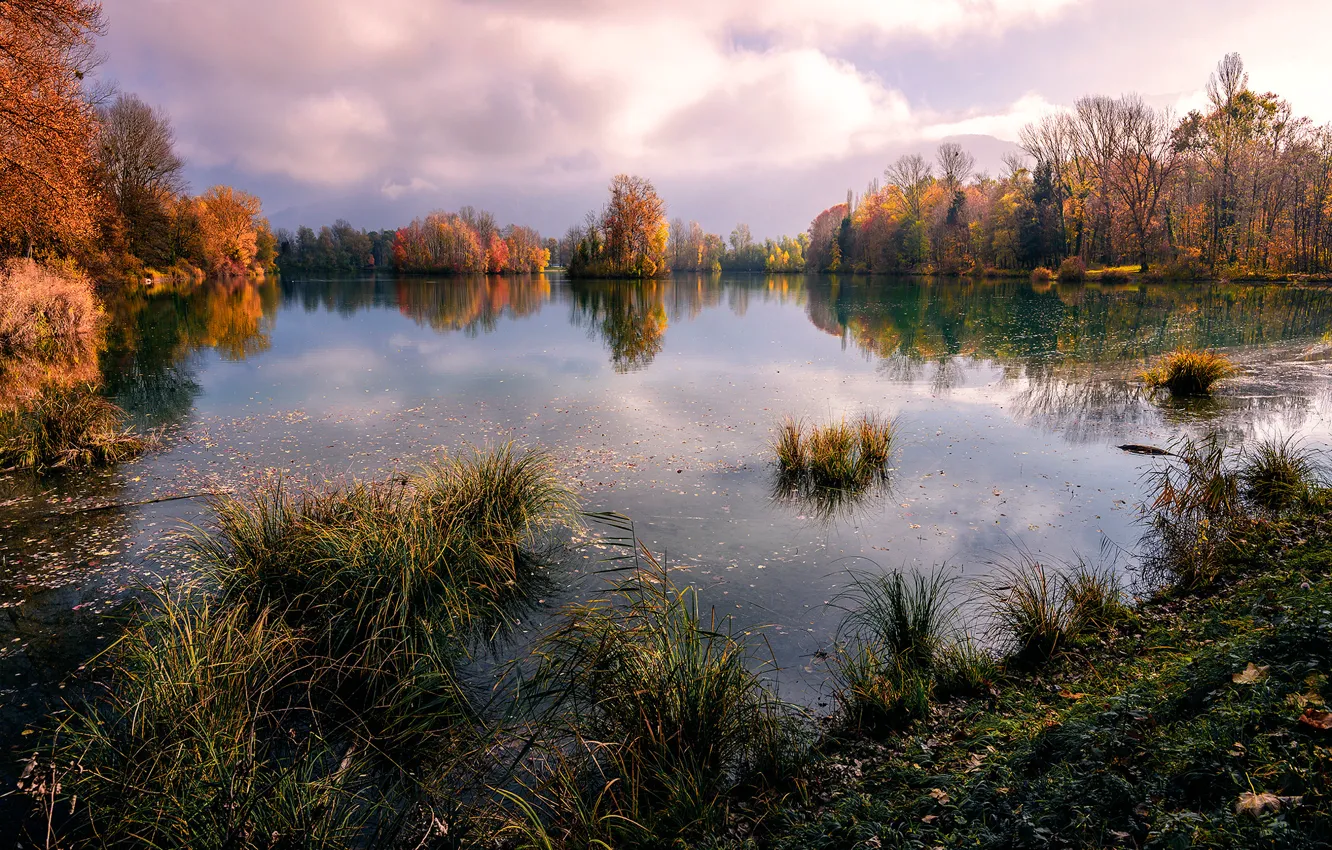 Photo wallpaper autumn, trees, pond, Savoy