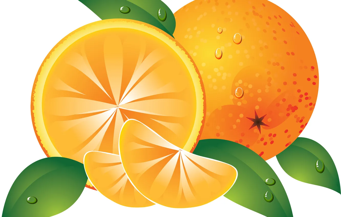 Photo wallpaper background, orange, vector graphics