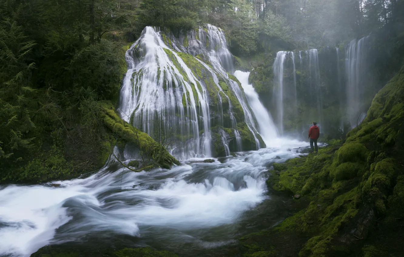 Photo wallpaper green, forest, river, trees, landscape, nature, water, boy