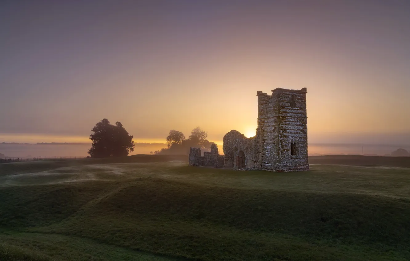 Photo wallpaper England, East Dorset District, Wimborne St Giles, Isolation at Dawn