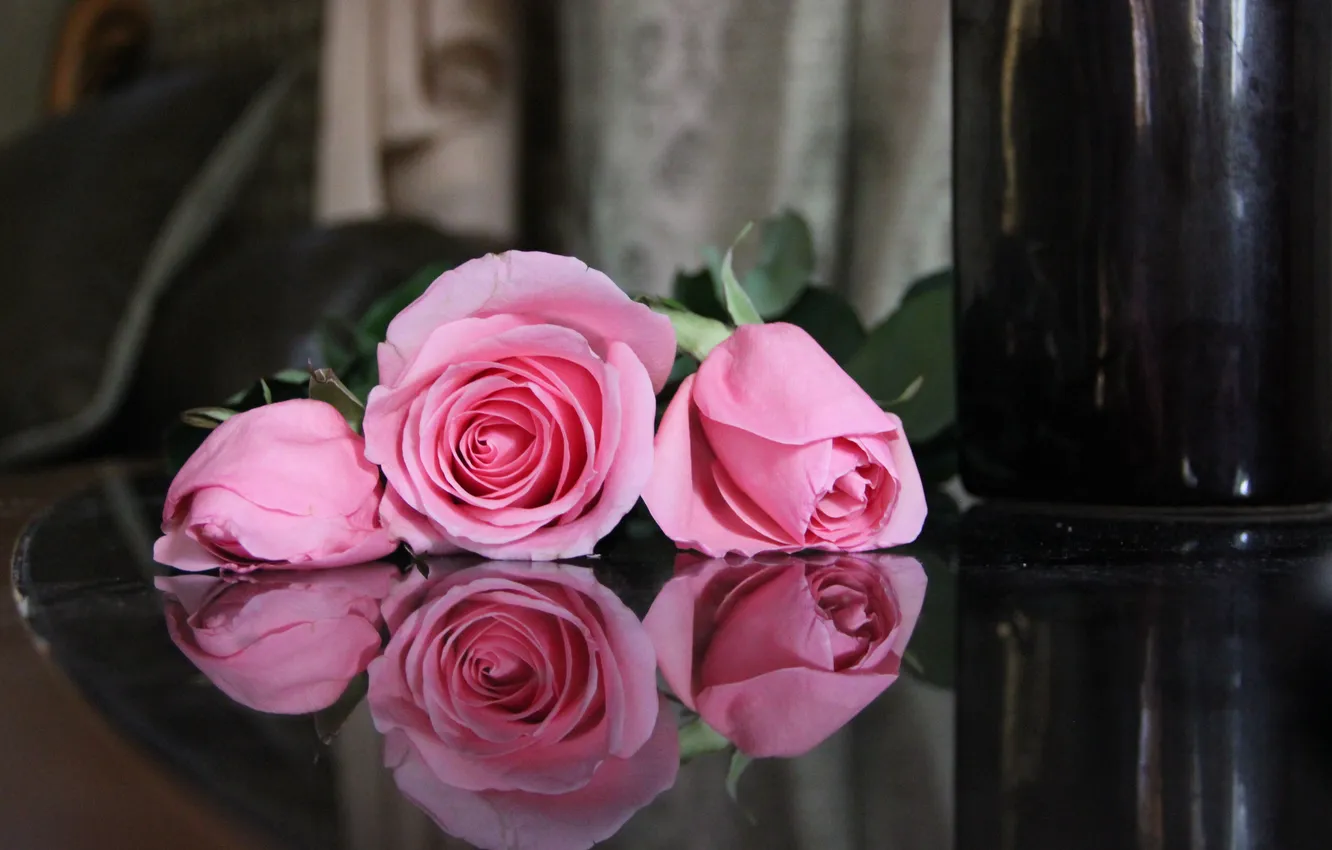 Photo wallpaper flowers, reflection, roses, pink
