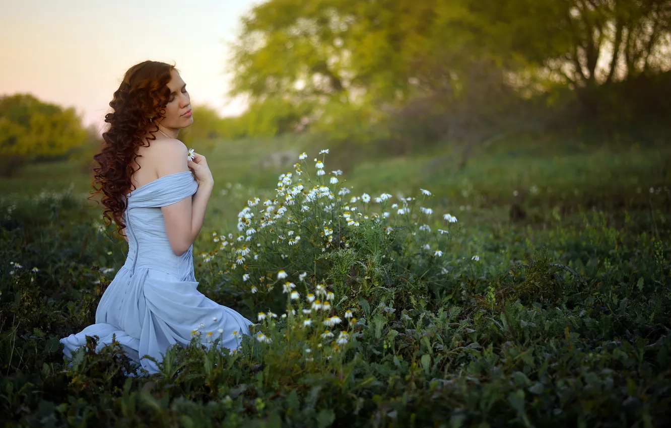 Photo wallpaper field, girl, chamomile