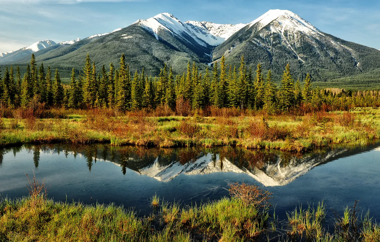 Photo wallpaper forest, water, mountains, reflection, mirror