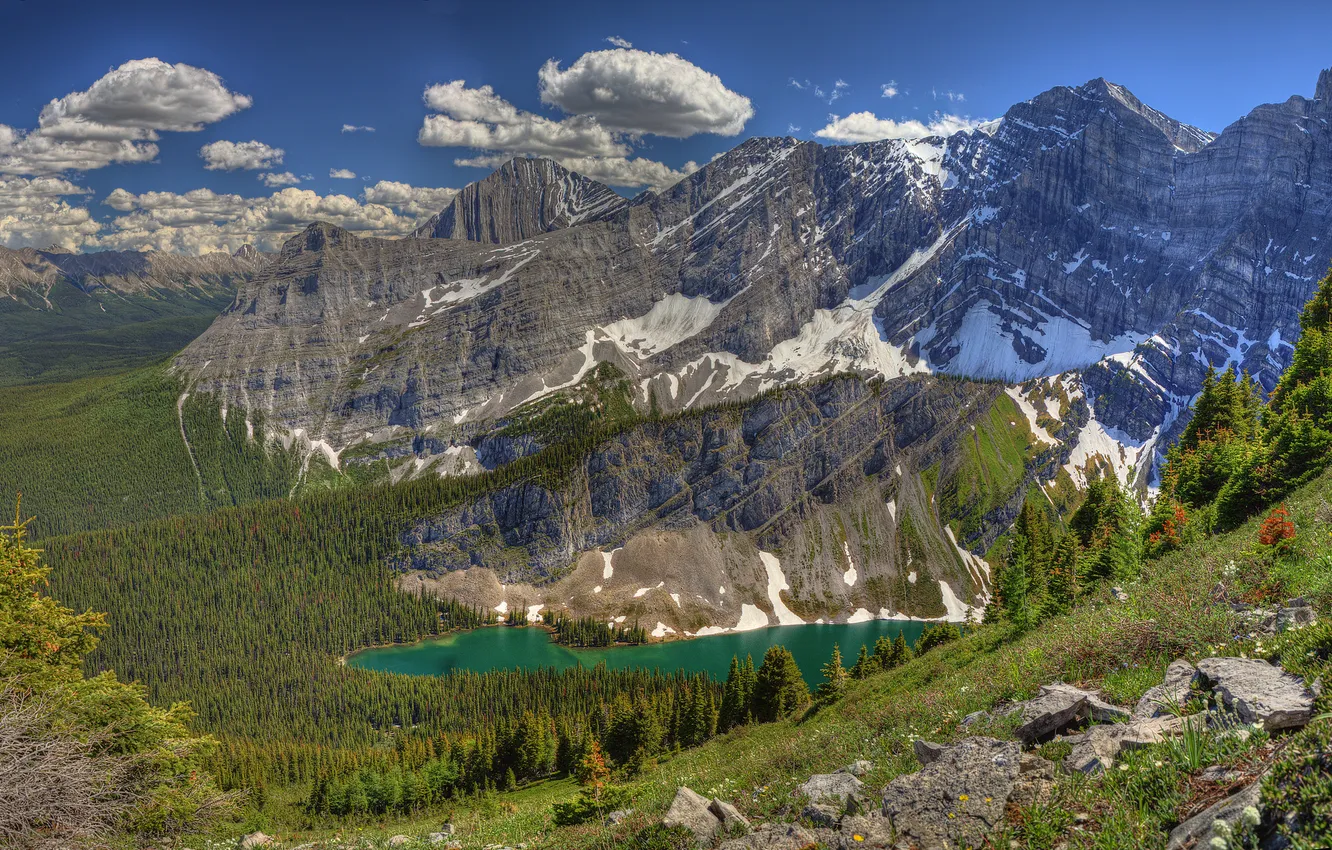 Photo wallpaper forest, the sky, clouds, trees, mountains, lake, stones, slope