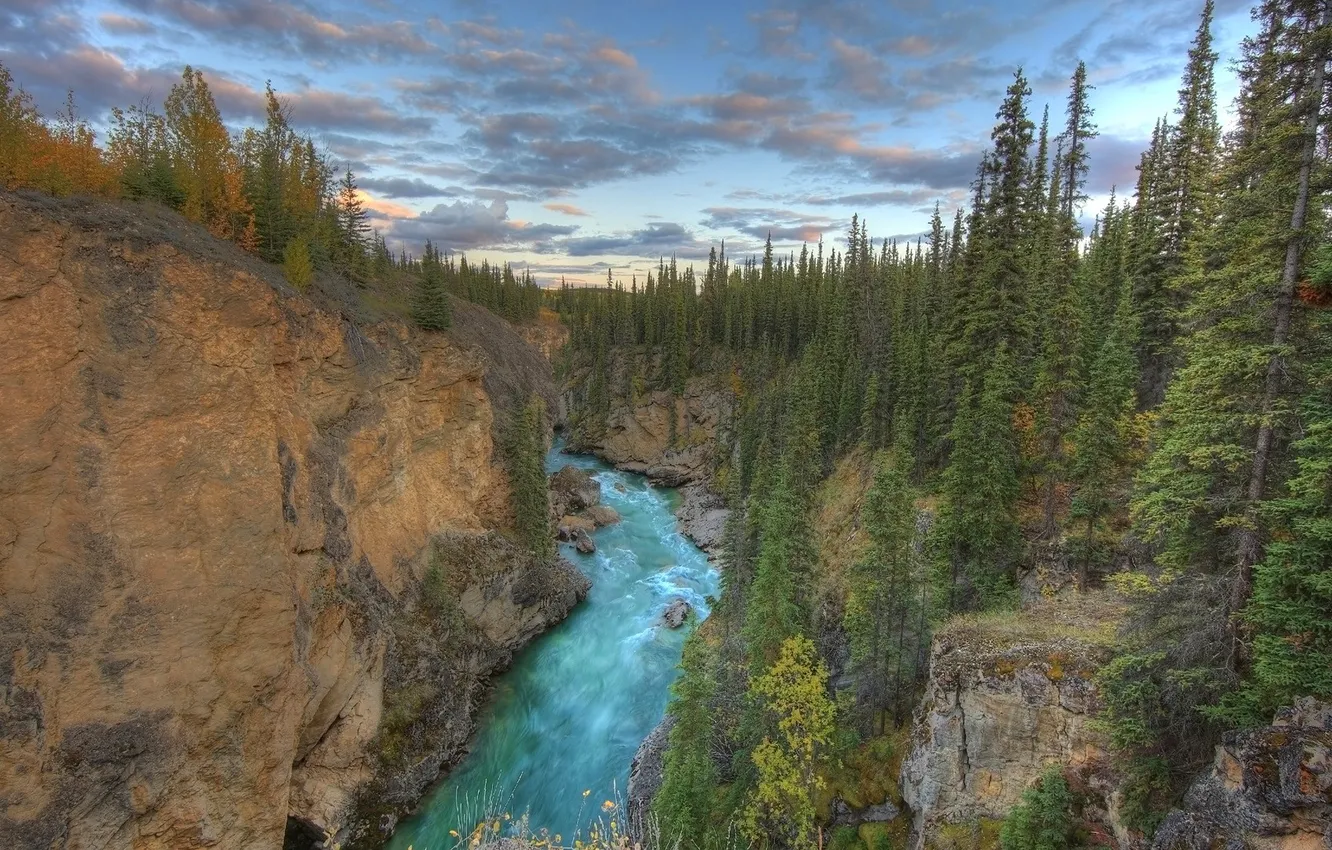 Photo wallpaper forest, the sky, clouds, trees, landscape, river, gorge