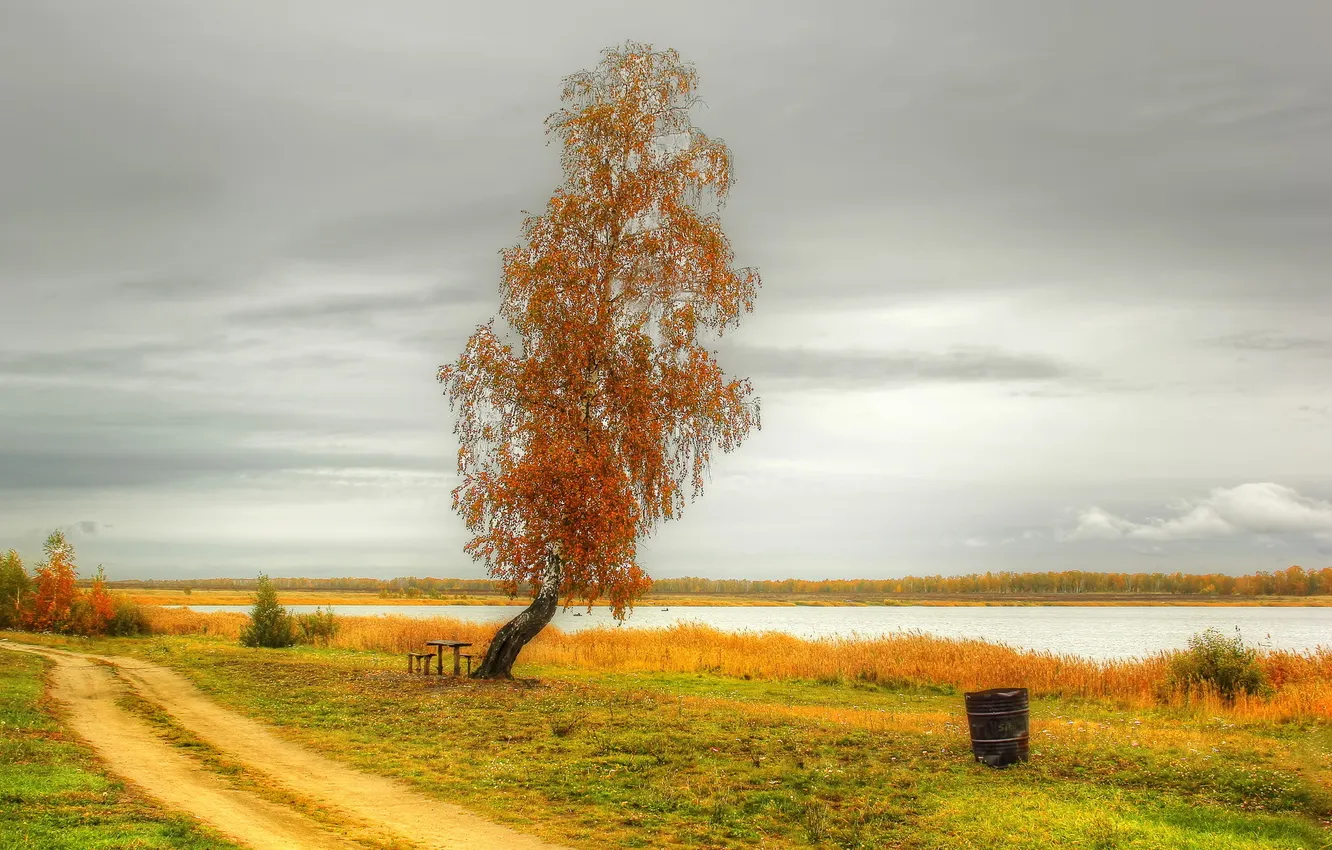 Photo wallpaper road, autumn, nature, lake, photo, tree