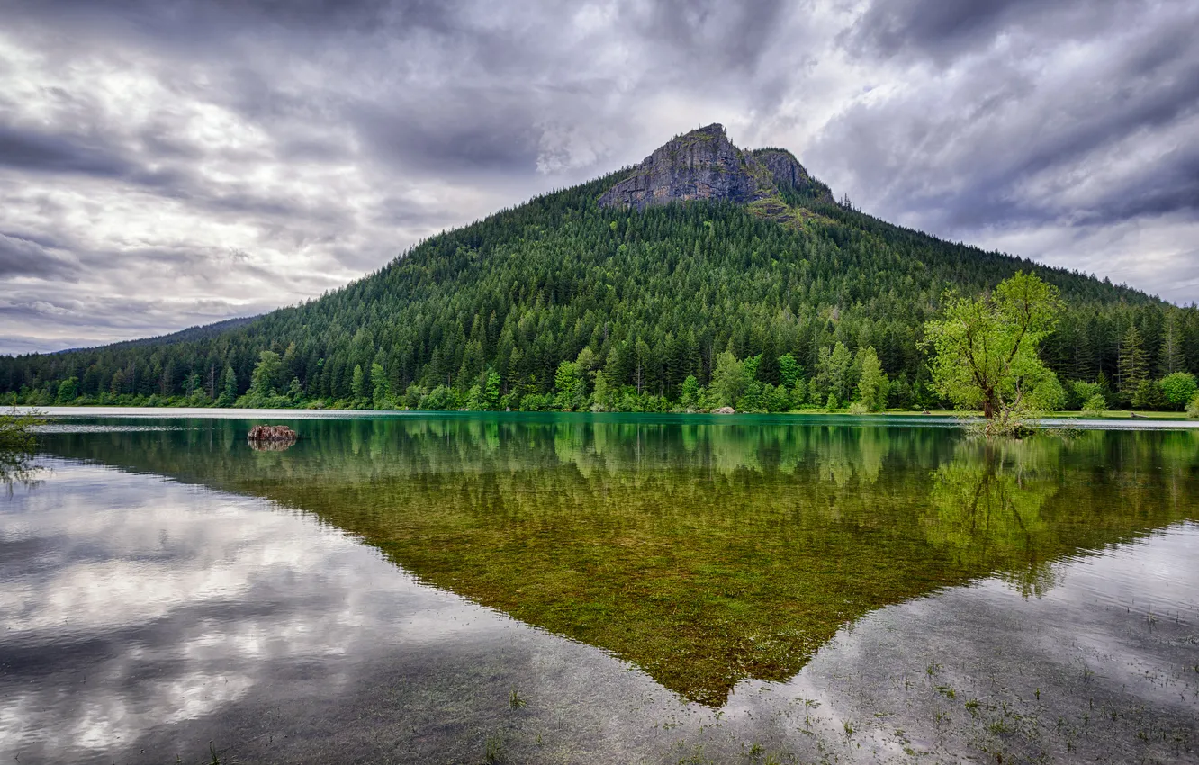 Photo wallpaper forest, the sky, clouds, trees, lake, reflection, mountain
