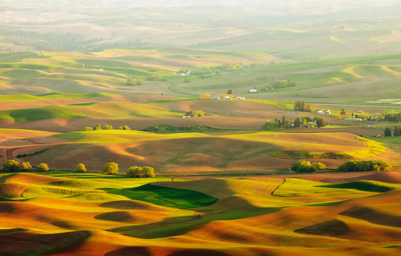 Photo wallpaper field, nature, landscape, view