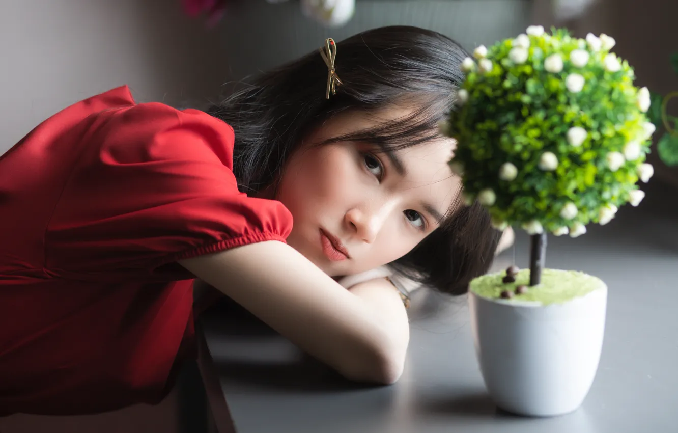 Photo wallpaper look, pose, brown eyes, brown eyes, look, pose, cute girl, cute girl