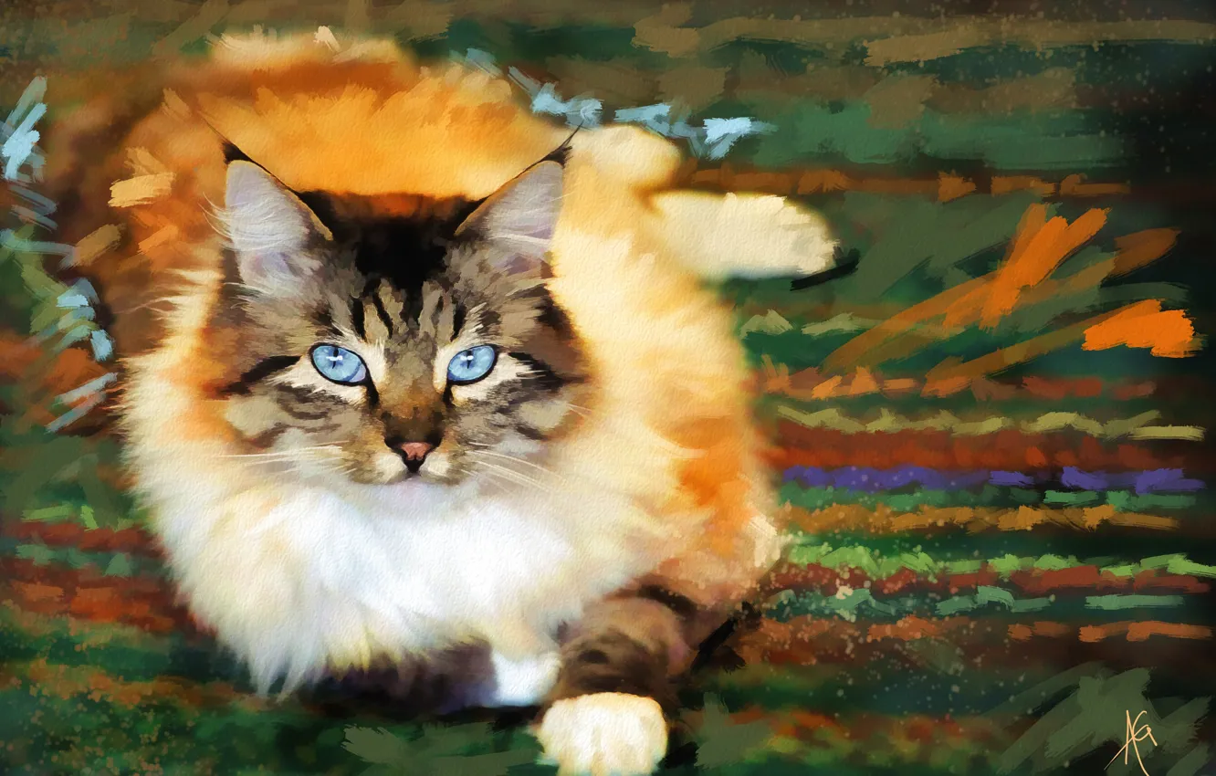 Photo wallpaper cat, portrait, picture, watercolor, lies, painting, looks, strokes