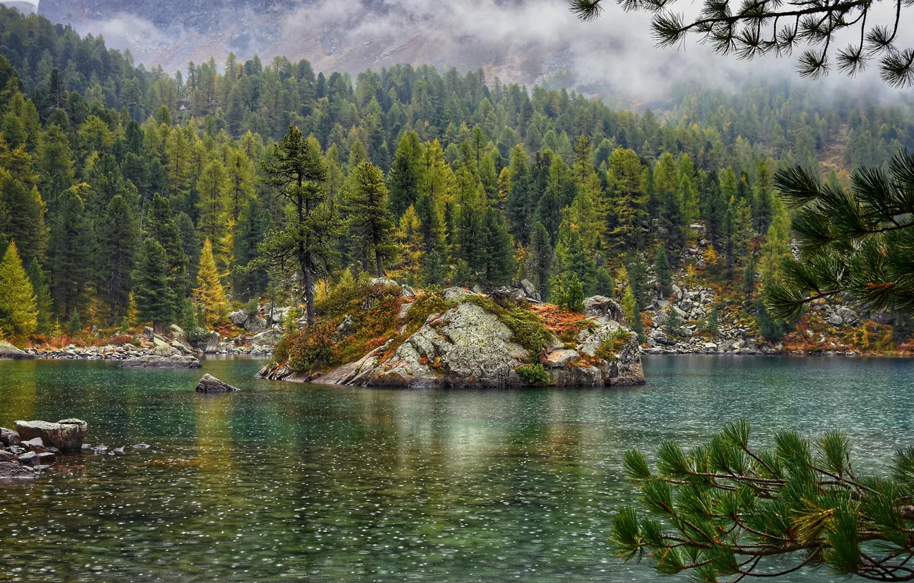 Photo wallpaper forest, river, mountains, lake, fog