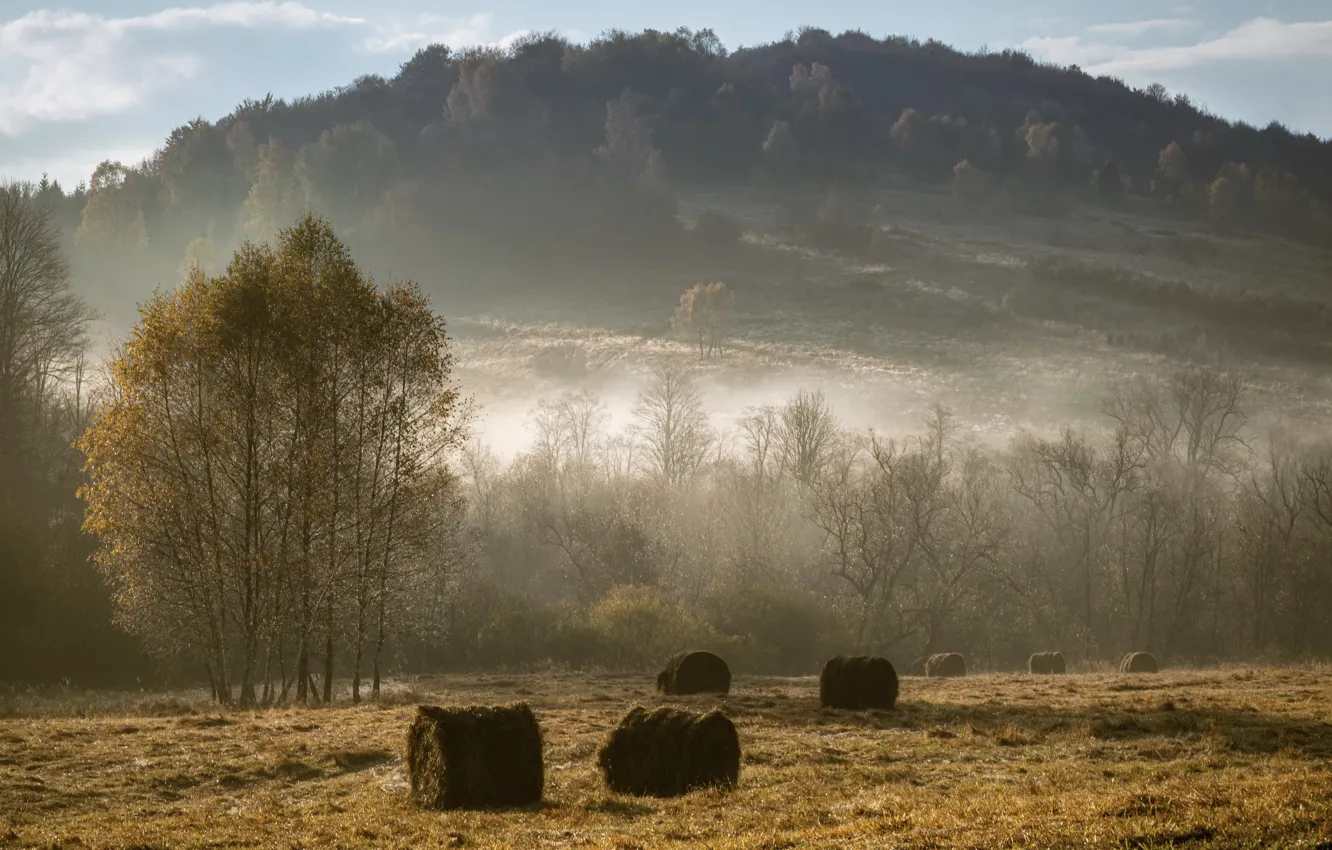 Photo wallpaper field, autumn, fog, hay