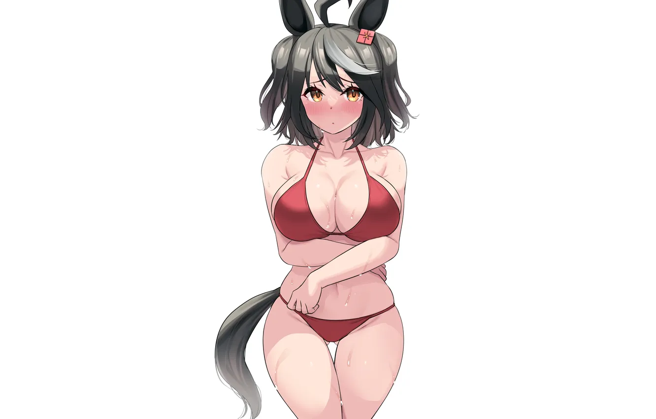 Photo wallpaper girl, sexy, wet, cleavage, boobs, animal ears, sexy girl, anime