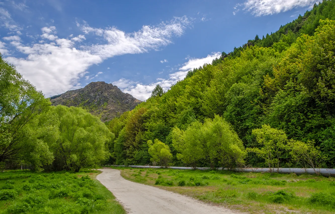 Photo wallpaper road, the sky, trees, mountains, New Zealand, New Zealand, Arrowtown
