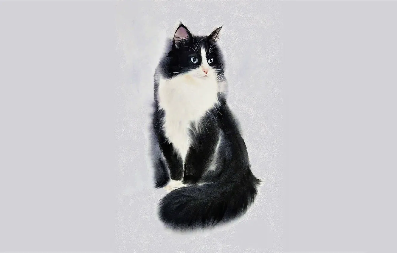 Photo wallpaper cat, cat, animal, figure, art, tail