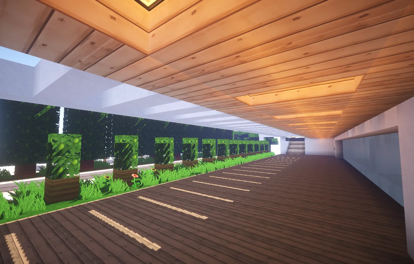 Photo wallpaper trees, shadow, minecraft