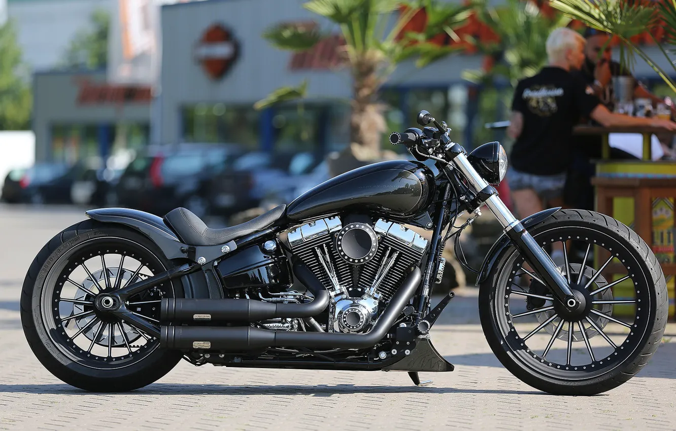 Photo wallpaper Harley-Davidson, Custom, Motorcycle, Thunderbike
