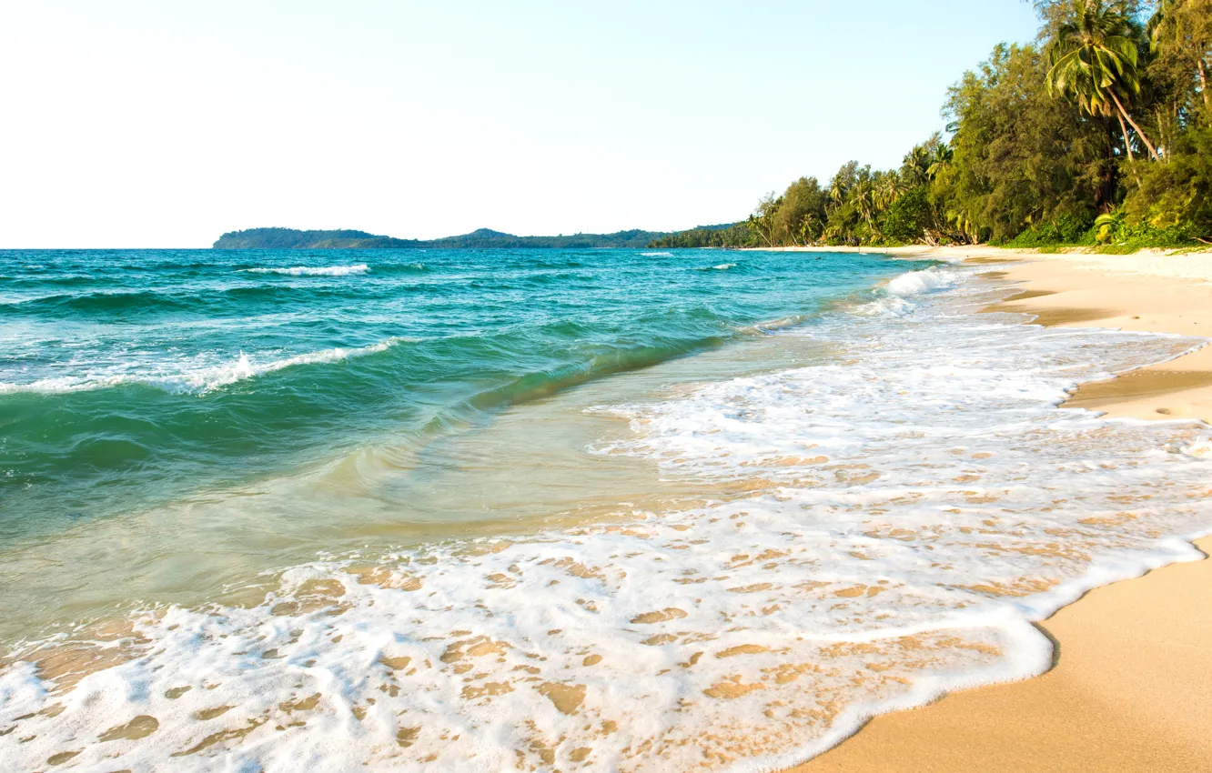 Photo wallpaper sand, sea, wave, beach, summer, the sun, palm trees, summer