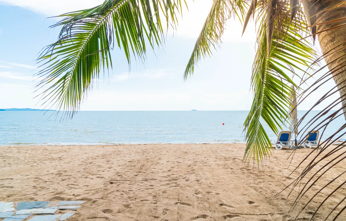 Photo wallpaper sand, sea, wave, beach, summer, the sun, palm trees, summer