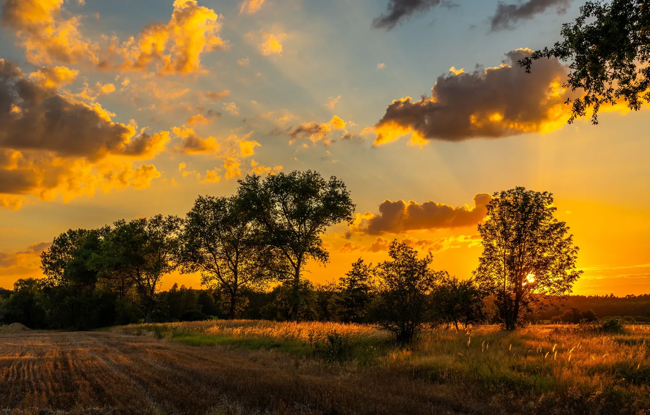 Photo wallpaper summer, landscape, sunset, three