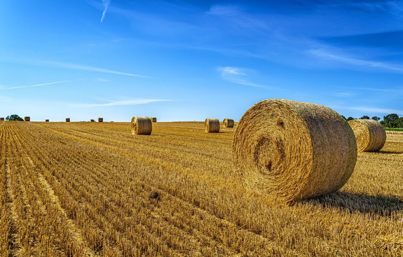 Photo wallpaper field, hay, bales