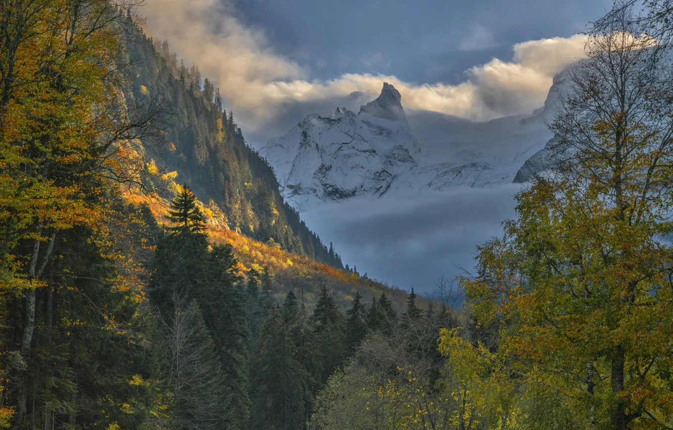 Photo wallpaper autumn, forest, clouds, landscape, mountains, nature, The Caucasus, Dombay